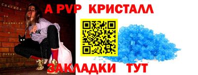 дмт Кингисепп
